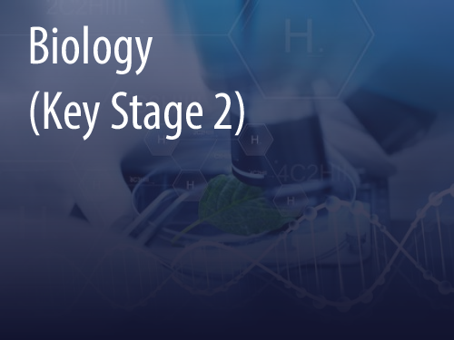 Biology (Key Stage 2)